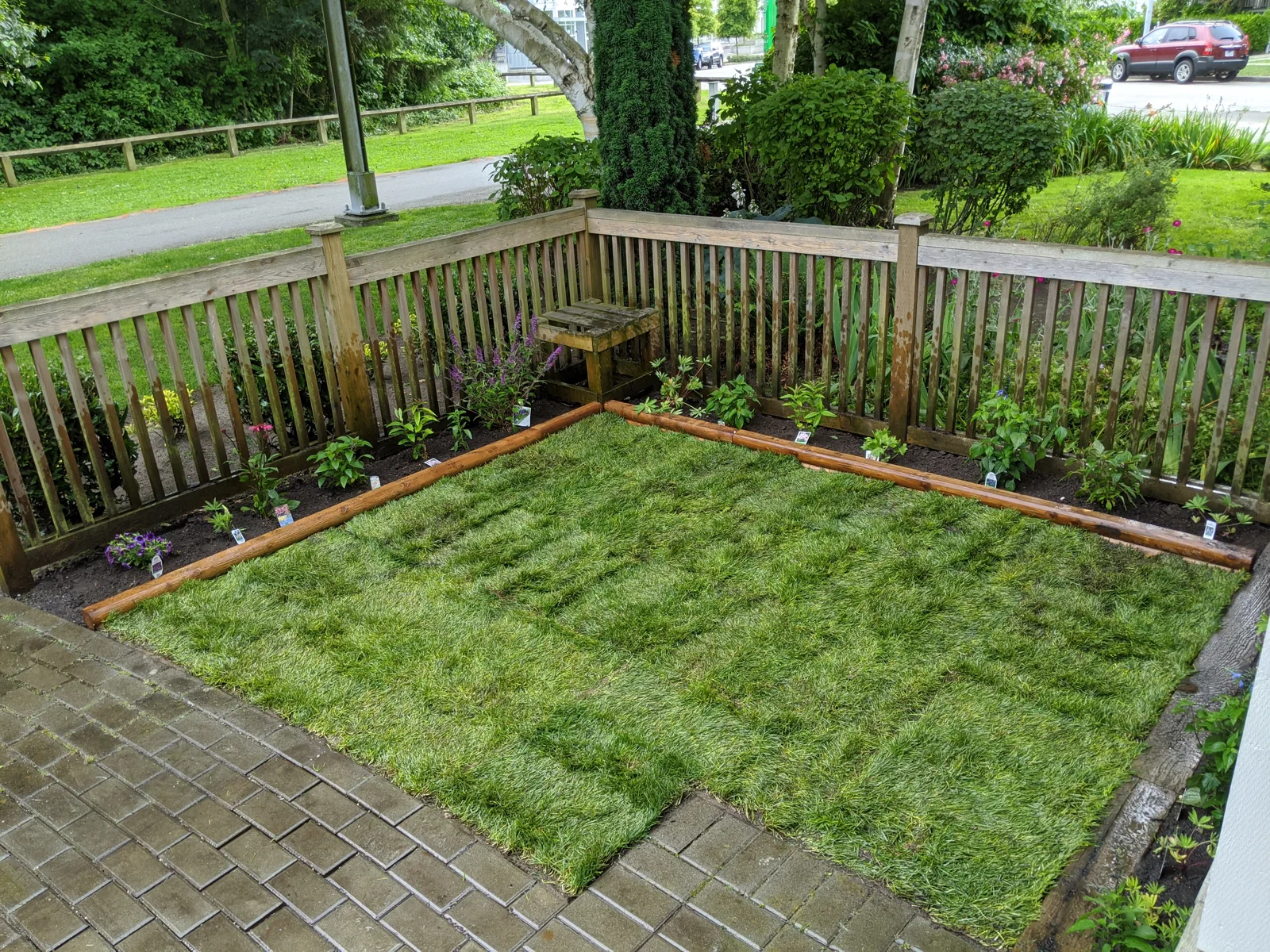 A green backyard retreat