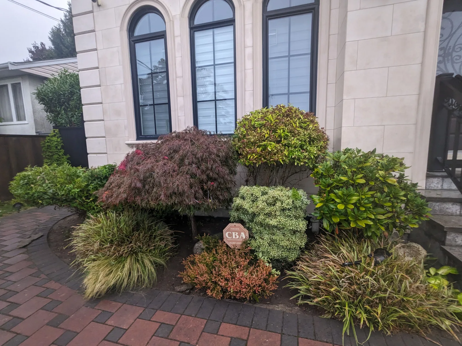 Precisely shaped ornamental shrubs in a residential garden