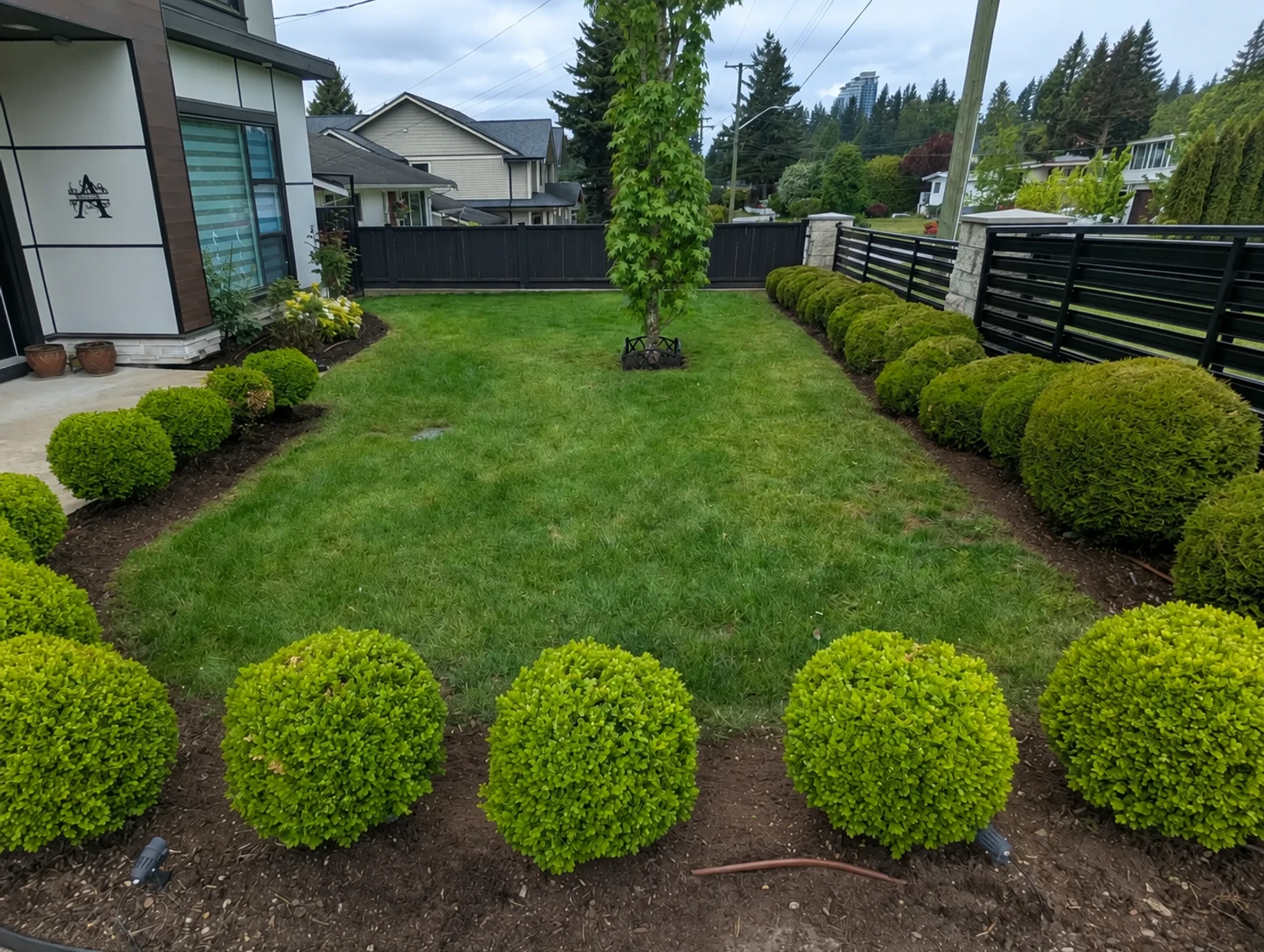 Residential landscape project