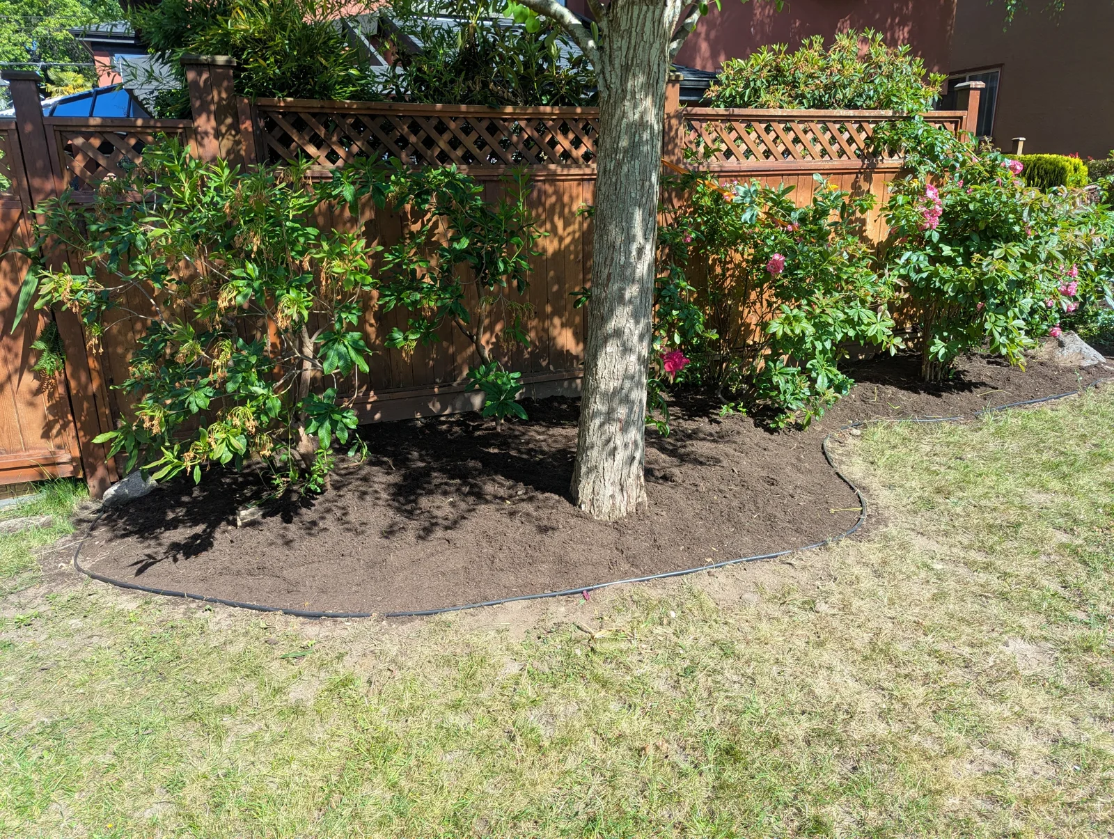 Clean beds and established planting