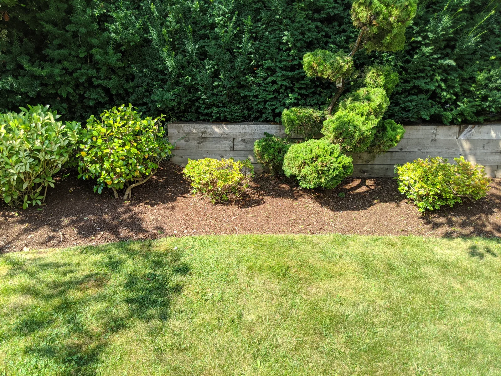 Lawn and garden care