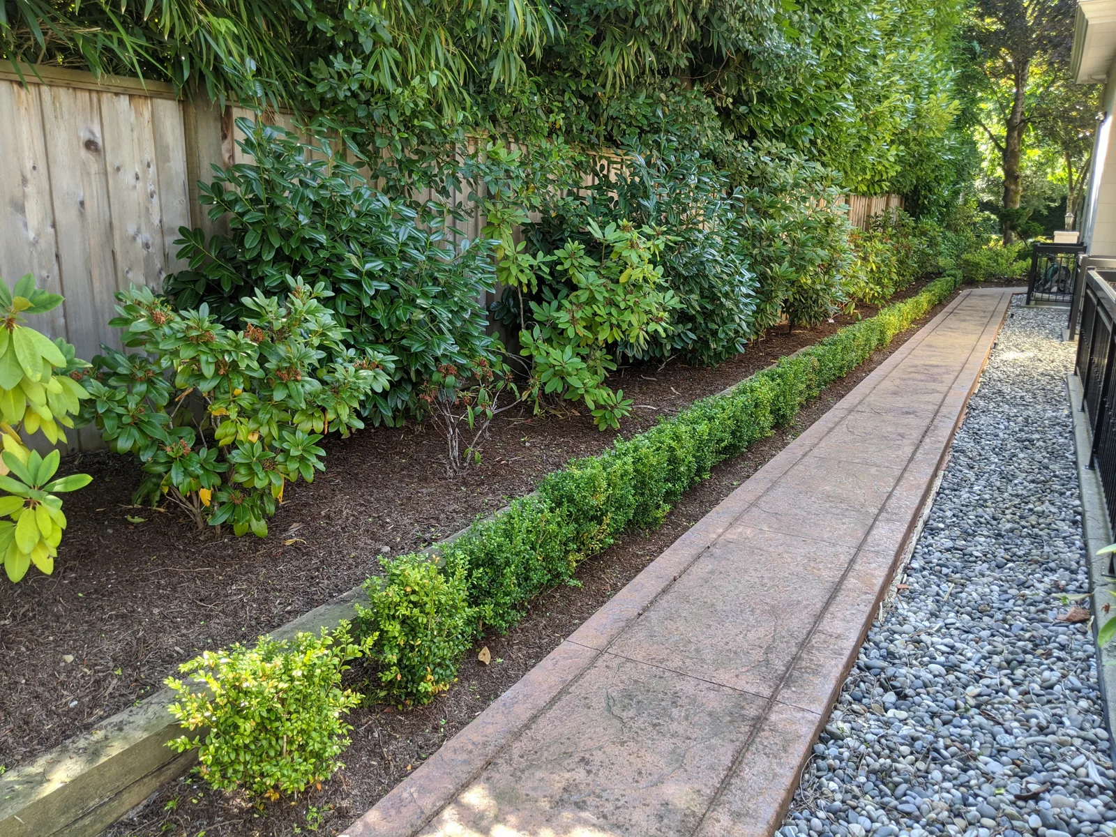 Everyday Landscape seasonal cleanup project
