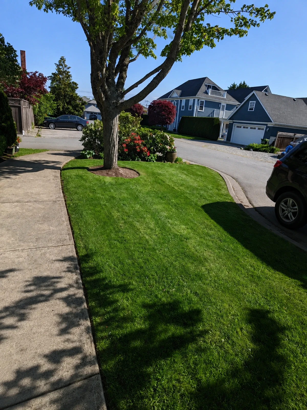Neighbourhood lawn maintenance