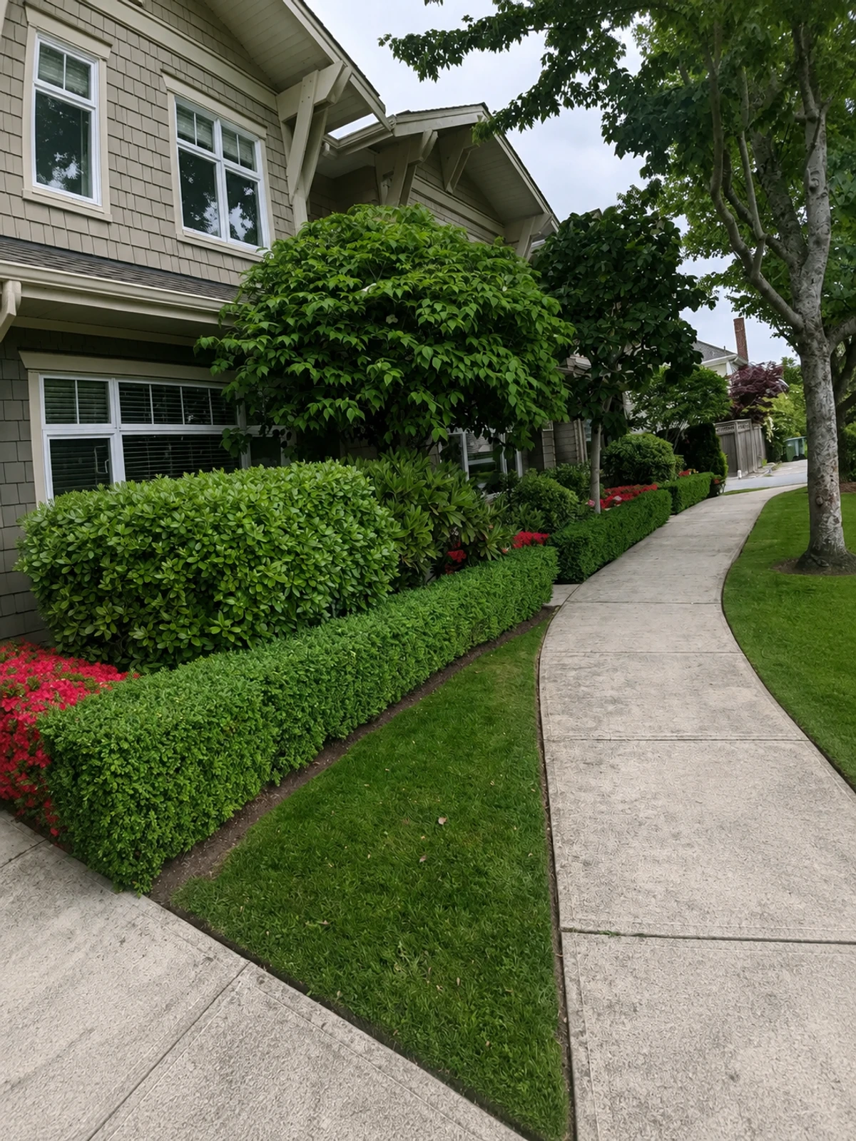 Strata & Multi-Family landscape project