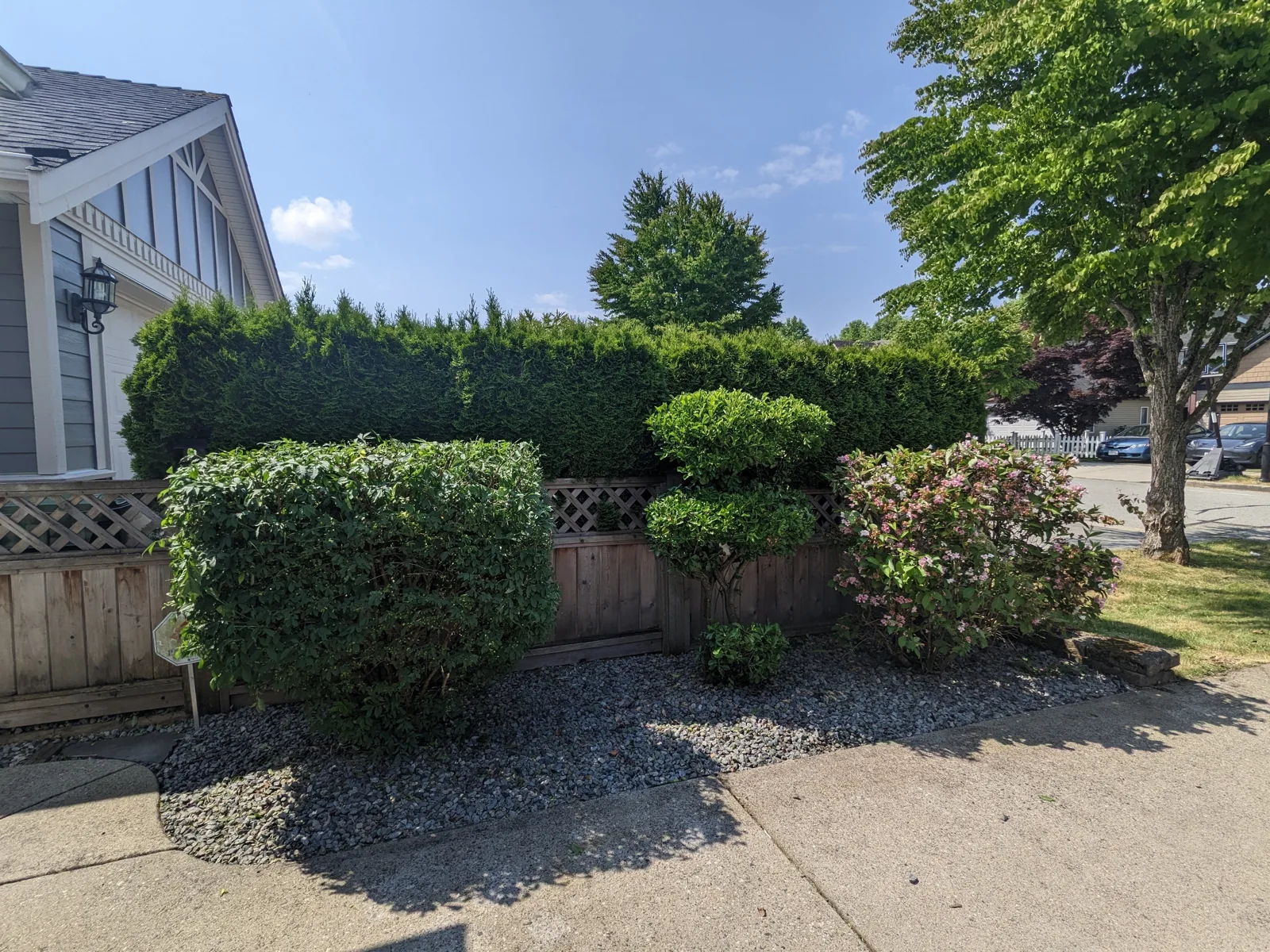 Shaped shrubs and structured garden beds